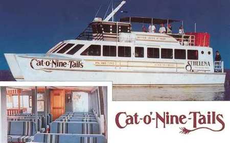 Cat O' NineTails - Find Attractions 1