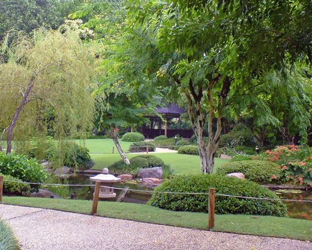 Brisbane City Botanic Gardens - Attractions Melbourne 1