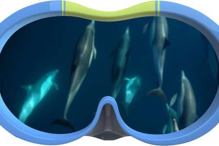 Dolphin Swim Australia - Broome Tourism 3