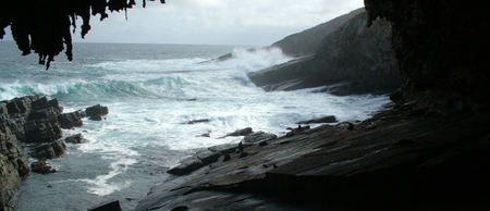 Banksia Adventures - Accommodation Mermaid Beach 2