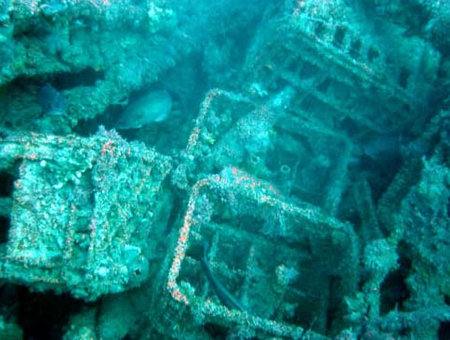 Underwater Sports Diving Centre - Tourism Cairns