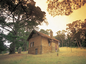 Heysen - The Cedars - New South Wales Tourism 