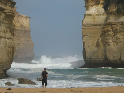 Bunyip Tours - Accommodation Great Ocean Road