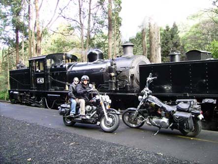 Andy's Harley Rides - Accommodation Mount Tamborine