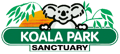 Koala Park Sanctuary - Accommodation Mount Tamborine