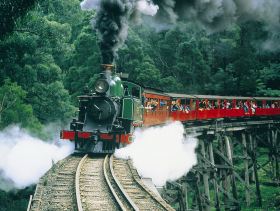 Gray Line Tours Melbourne - Attractions 1