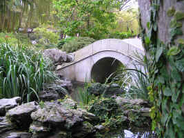 Chinese Garden Of Friendship - Attractions Sydney 1