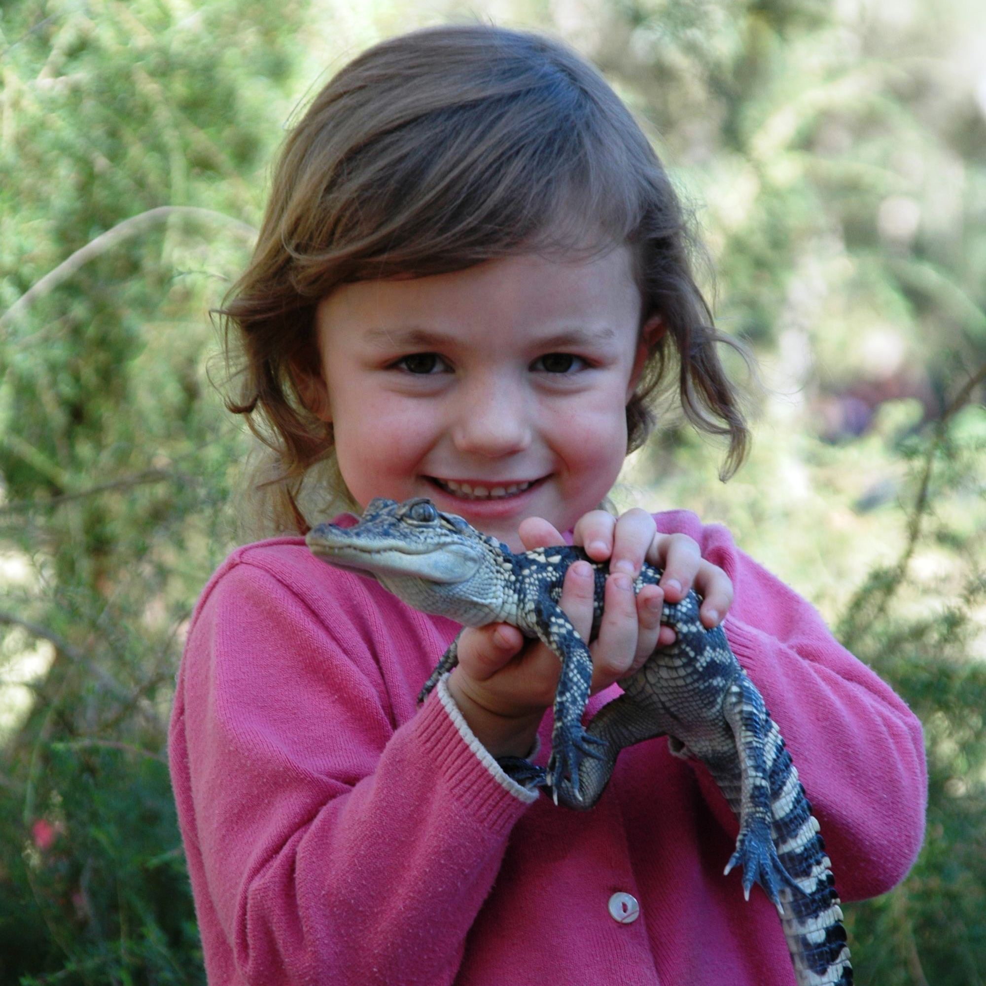 Australian Reptile Park - tourismnoosa.com 2