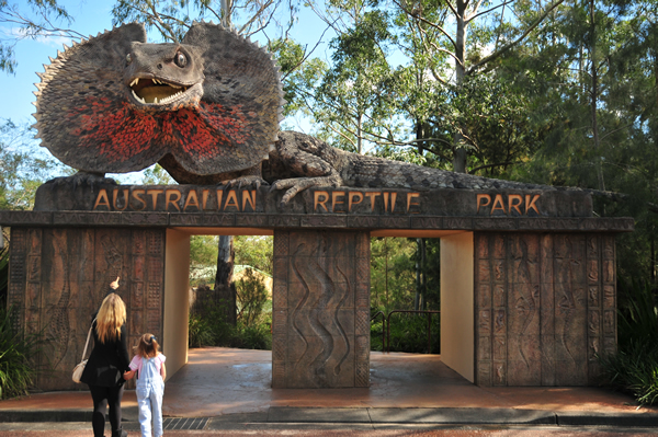 Australian Reptile Park - Attractions 5
