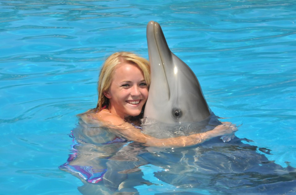 Dolphin Marine Magic - Sydney Tourism 5