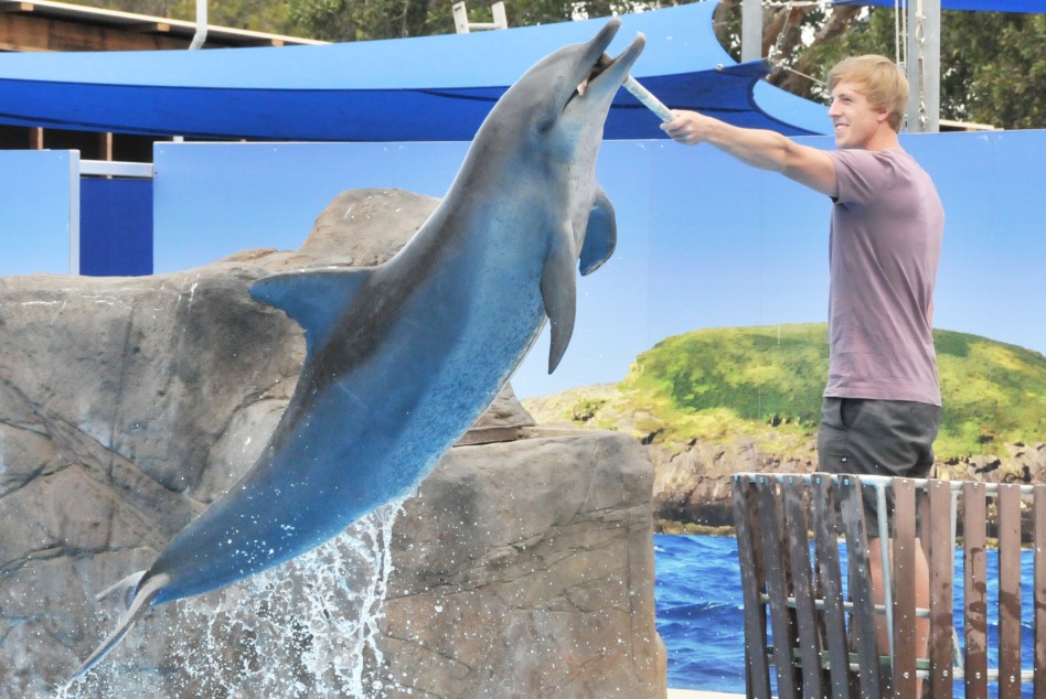 Dolphin Marine Magic - Attractions Perth 7