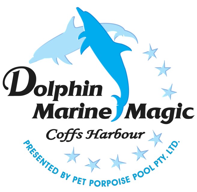 Dolphin Marine Magic - Broome Tourism 11