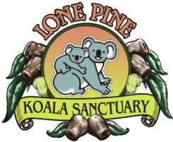 Lone Pine Koala Sanctuary - Accommodation Whitsundays 0