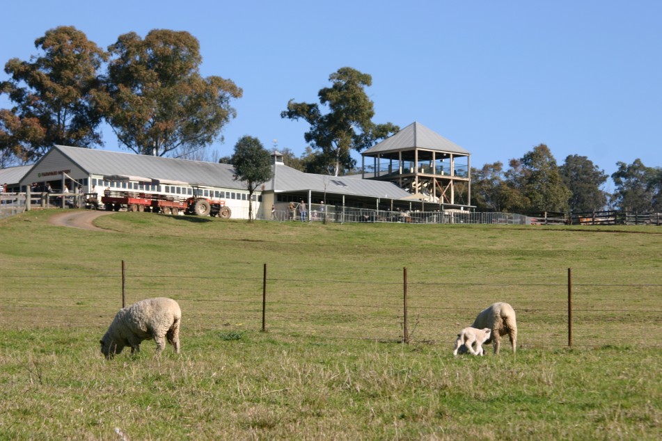 Calmsley Hill City Farm - Sydney Tourism 3