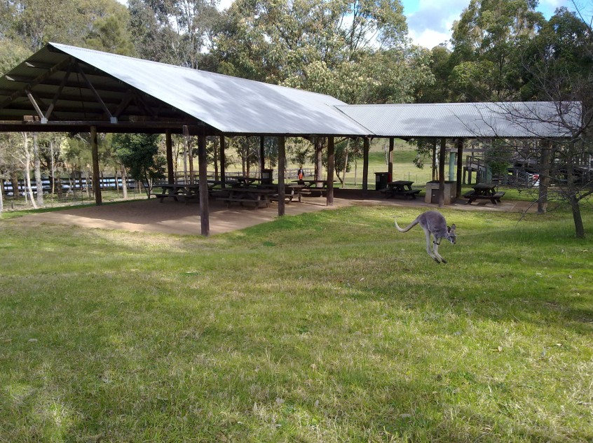 Calmsley Hill City Farm - Accommodation Sydney 5