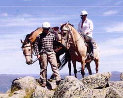 High Country Horses - Accommodation ACT 3