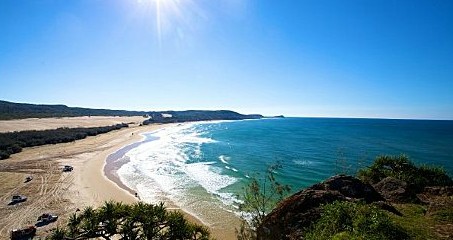 Queensland Day Tours - Accommodation Newcastle 11