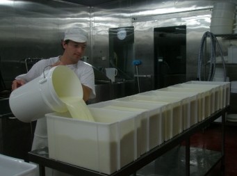Witches Chase Cheese Co - tourismnoosa.com 1