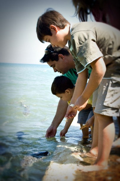 Aquascene Fish Feeding Sanctuary - Accommodation Resorts 3