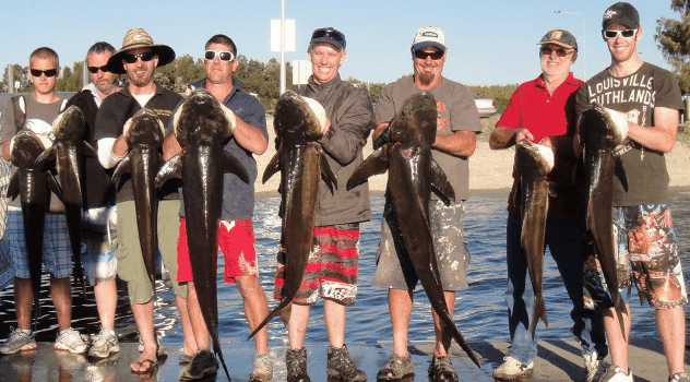 BKs Gold Coast Fishing Charters - Kempsey Accommodation 1