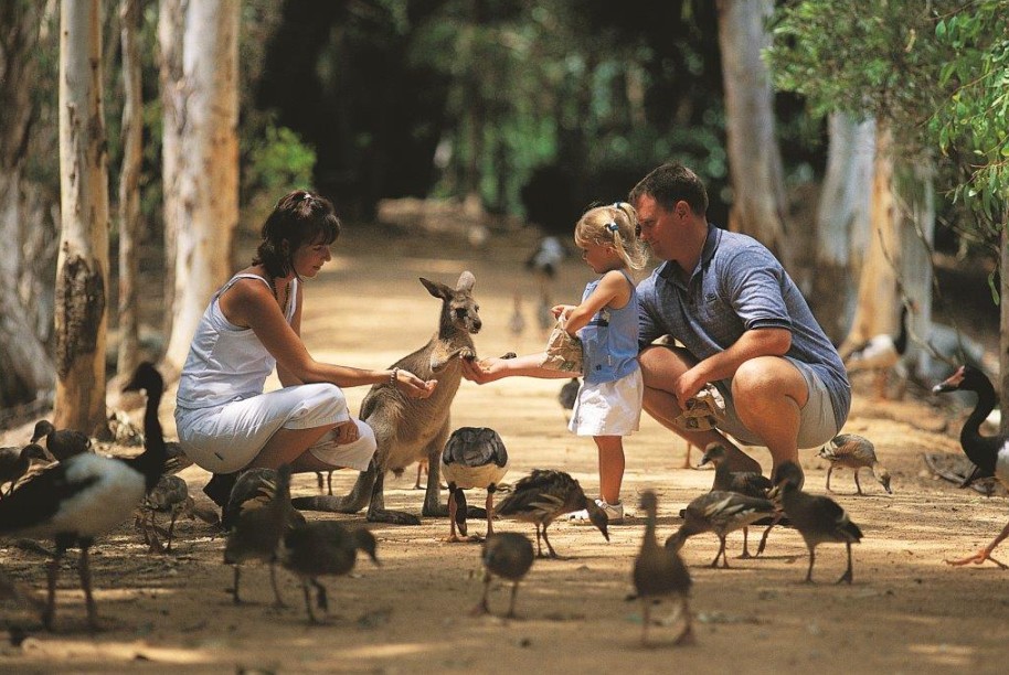 Billabong Sanctuary - QLD Tourism