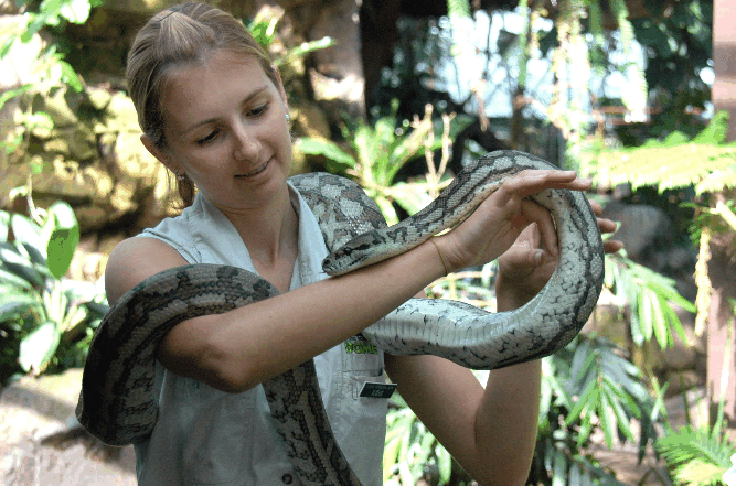 Cairns Wildlife Dome - Attractions Melbourne 2