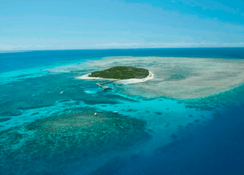Big Cat Green Island Reef Cruises - Attractions 1