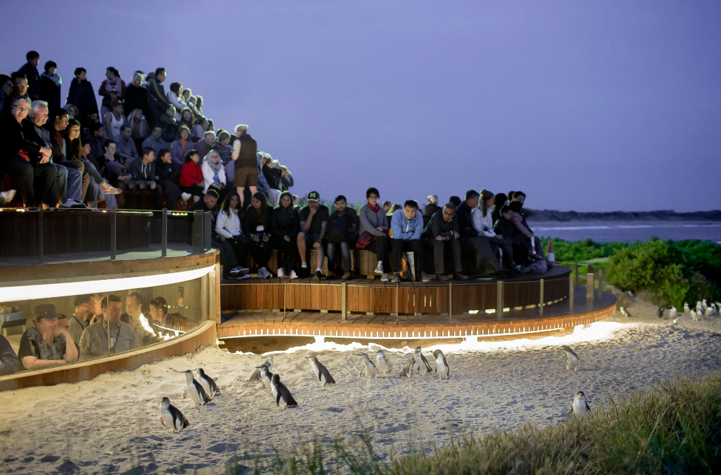 Go West Tours - Attractions Perth 10