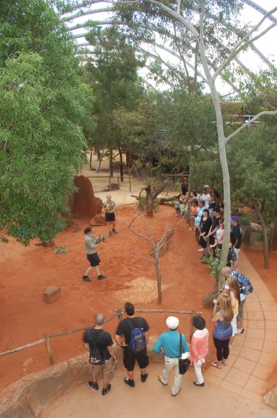 WILD LIFE Sydney Zoo - Kempsey Accommodation 2