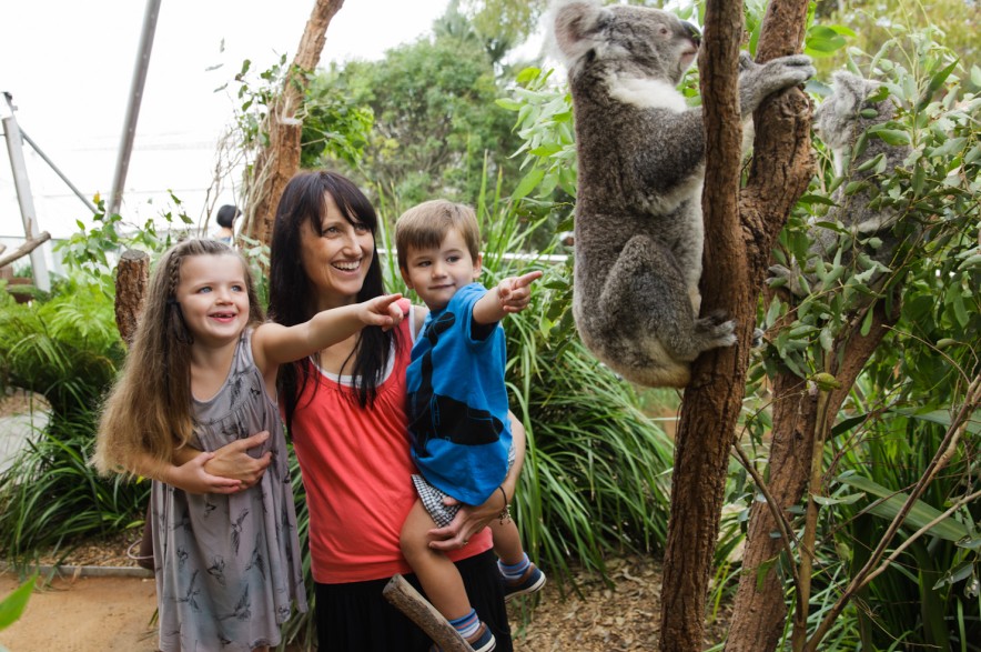 WILD LIFE Sydney Zoo - Broome Tourism 3