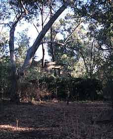 Ghost House Walk Trail Yanchep National Park - Geraldton Accommodation