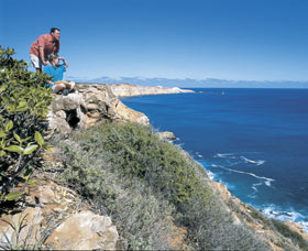 Cape Cuvier Coast - New South Wales Tourism 