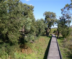 Kepwari Trails Wetland Wonderland - New South Wales Tourism 