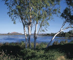 Celebrity Tree Park - New South Wales Tourism 