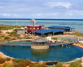 Ocean Park Aquarium - Geraldton Accommodation