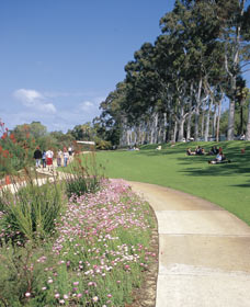 Kings Park Free Guided Walks - Accommodation Nelson Bay
