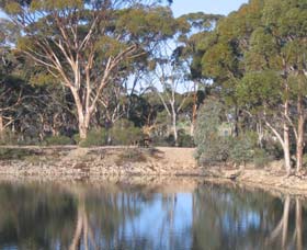 Merredin Railway Dam - New South Wales Tourism 