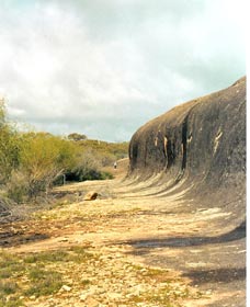 Totadgin Dam Reserve - Geraldton Accommodation