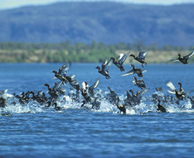 Ord River - Redcliffe Tourism
