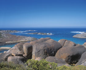 Elephant Rocks - Accommodation Nelson Bay