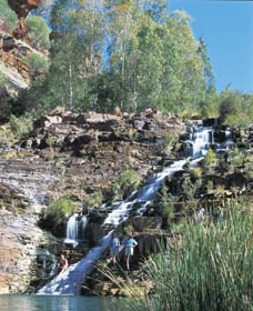 Fortescue Falls - Attractions