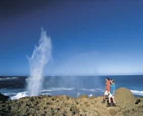 The Blowholes Carnarvon - New South Wales Tourism 