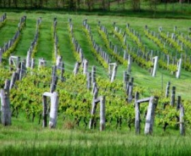 Sienna Estate Winery - Accommodation Nelson Bay