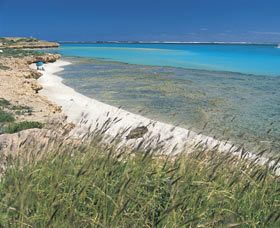 Coral Bay Walk Way - Geraldton Accommodation