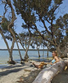 Stokes National Park - Accommodation Mermaid Beach