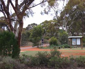 Gribble Creek Walk and Cycle Way - Geraldton Accommodation