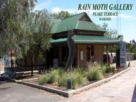 Rain Moth Gallery - Tourism Cairns