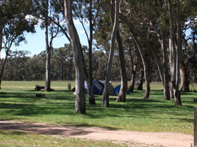 Black Cockatoo Bush Camp - Accommodation Sunshine Coast