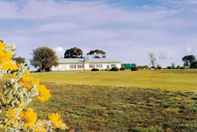 Lucindale Country Club - Mount Gambier Accommodation