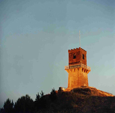 Centenary Tower - Accommodation Mount Tamborine